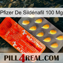 Pfizer De Sildénafil 100 Mg new01